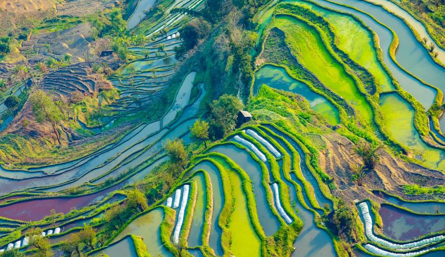 宝妈必备神器：德城区产品视频拍摄轻松育儿好帮手