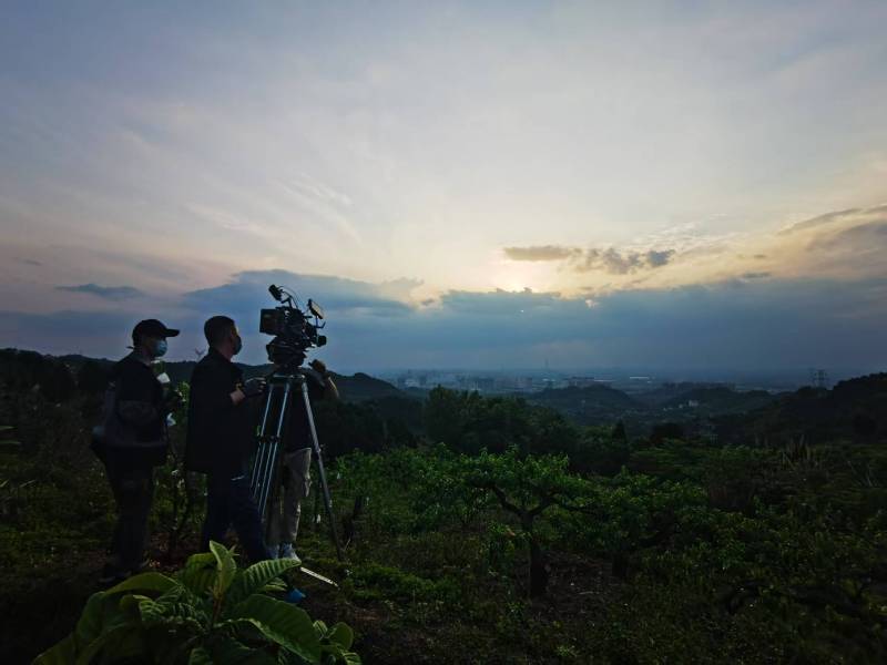 聚焦德城区产品宣传视频拍摄公司，用专业实力铸就品牌传播传奇