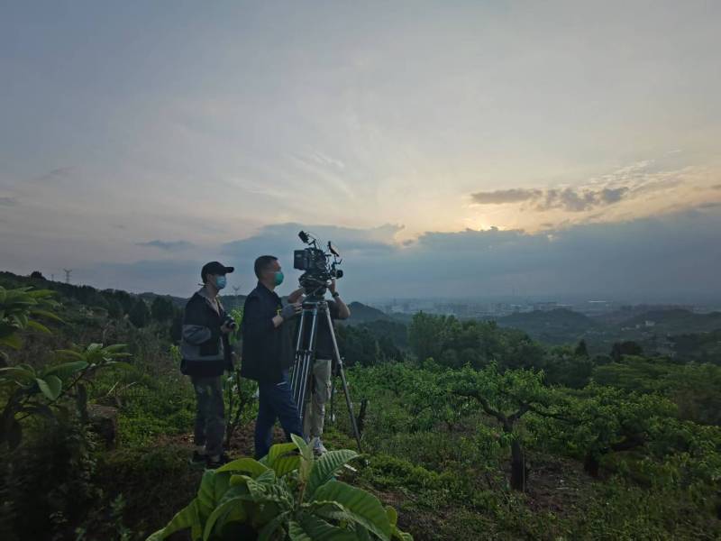 创意破圈！德城区电商产品宣传视频用故事化叙事引爆流量