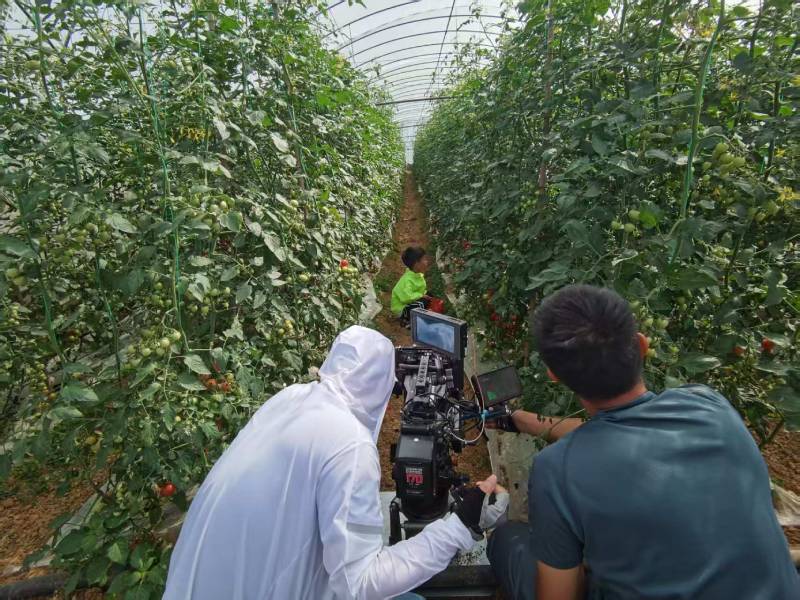 德城区产品宣传视频拍摄公司进阶指南，助力品牌抢占传播高地